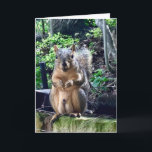 Tarjeta Funny Squirrel Deez Nuts Personalizado Textos Cump<br><div class="desc">Personalizar esta graciosa tarjeta de cumpleaños o déjalo como...  ¡DEEZ NUTS! Una ardilla hilarante juega con las palabras chiste sobre sus nueces. Humor vulgar para una ocasión adulta. Haz que tus amigos se rían de esta cita de la cultura pop.</div>