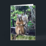 Tarjeta Funny Squirrel Deez Nuts Personalizado Textos Cump<br><div class="desc">Personalizar esta graciosa tarjeta de cumpleaños o déjalo como...  ¡DEEZ NUTS! Una ardilla hilarante juega con las palabras chiste sobre sus nueces. Humor vulgar para una ocasión adulta. Haz que tus amigos se rían de esta cita de la cultura pop.</div>