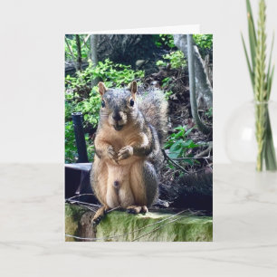 Tarjeta Funny Squirrel Deez Nuts Personalizado Textos Cump