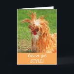 Tarjeta Funny Stylish Chicken Birthday<br><div class="desc">¡Celebra un divertido cumpleaños con este elegante pollo! Gracias por buscar y esperar que disfrutes. Foto ©Christine Greenspan</div>