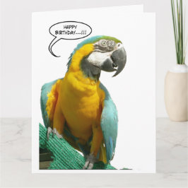 Tarjeta Funny Talking Parrot Birthday Big Greeting Card