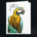 Tarjeta Funny Talking Parrot Birthday Big Greeting Card<br><div class="desc">¡Este loro parlante le desea un cumpleaños feliz! Con esta tarjeta de cumpleaños grande de Personalizable le das un gran regalo personalizado. Puede elegir su propio color de fondo. Tema de la divertida línea de loro parlante.</div>