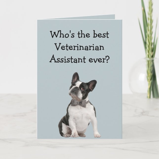 Tarjeta Funny Veterinarian Asst Thank You  Boston Terrier (Anverso)