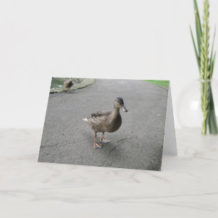 Tarjeta Funny Waddling Duck Birthday Card