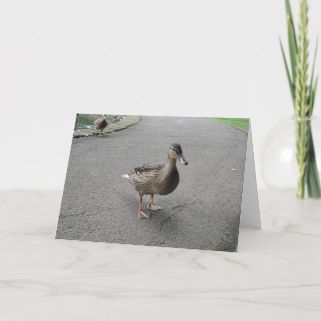 Tarjeta Funny Waddling Duck Birthday Card (Anverso)