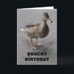 Tarjeta Funny Waddling Duck Personalizado Birthday Card<br><div class="desc">Esta tarjeta de cumpleaños muestra una fotografía de un divertido pato remando a través de un camino de hormigón. Este pájaro descarado había salido de un estanque y estaba en la búsqueda de algo de pan en un parque tranquilo. El negrita y negro texto en la parte delantera de la...</div>