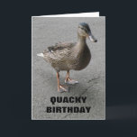 Tarjeta Funny Waddling Duck Personalizado Birthday Card<br><div class="desc">Esta tarjeta de cumpleaños muestra una fotografía de un divertido pato remando a través de un camino de hormigón. Este pájaro descarado había salido de un estanque y estaba en la búsqueda de algo de pan en un parque tranquilo. El negrita y negro texto en la parte delantera de la...</div>