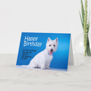 Tarjeta Funny Westie Birthday Card