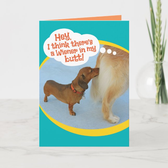 Tarjeta Funny Wiener Sniffing Golden Retiever Card (Anverso)