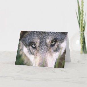 Tarjeta Funny Wolf Up Close Birday Card