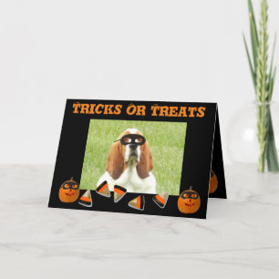 Tarjeta Funny y lindo Basset Hound & Pumpkin Halloween Car
