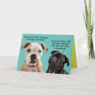 Tarjeta Funny y lindo siéntate y quédate con los perros du