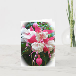 Tarjeta Fuschia rosa y blanca