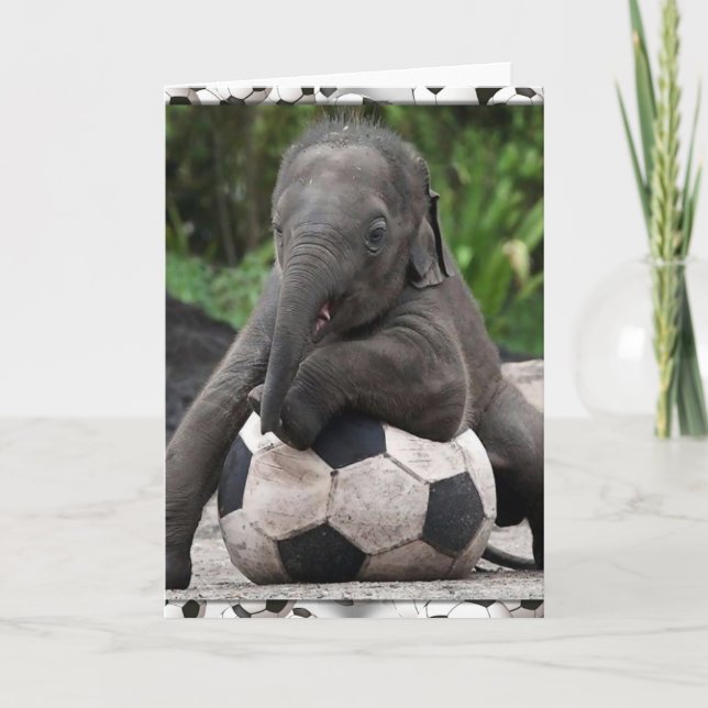Tarjeta Fútbol del elefante (Anverso)