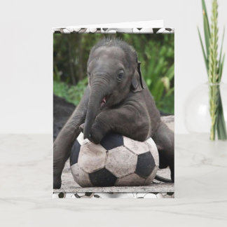 Tarjeta Fútbol del elefante