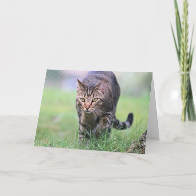 Tarjeta Gabe (Anverso)