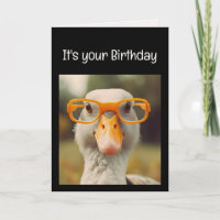 Gafas de oca inteligentes divertidas Humor animal