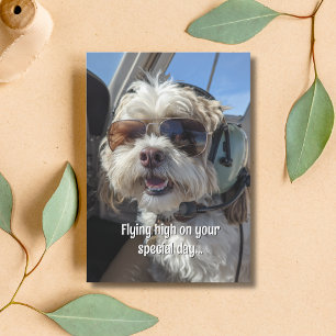 Tarjeta Gafas de sol de piloto de perro de cumpleaños Avia