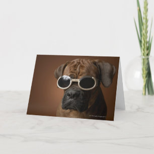 Tarjeta Gafas de sol que llevan del perro