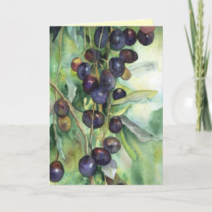 Tarjeta galare de aceitunas