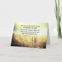 Galatianos 6:9 No se cansen de hacer el bien