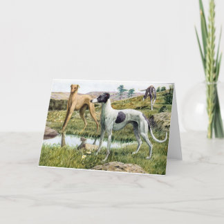 Tarjeta Galgo