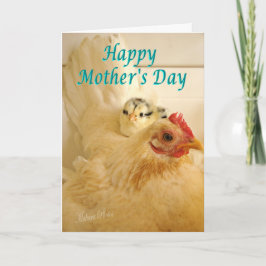 Tarjeta Gallina y polluelo de Banty