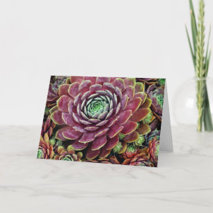 Tarjeta Gallina y polluelos