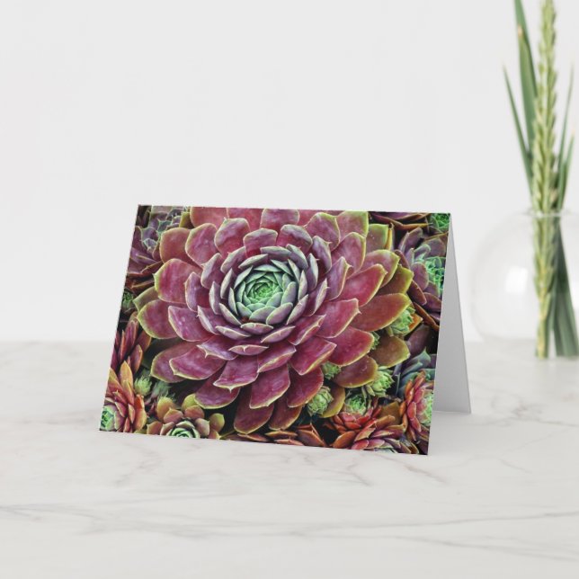 Tarjeta Gallina y polluelos (Anverso)