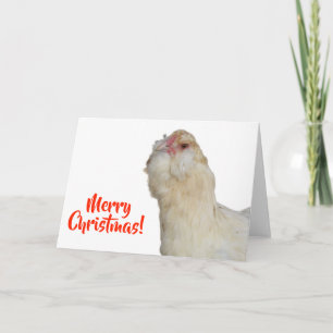Tarjeta Gallo Ameraucana Trigo Dulce Feliz Navidad