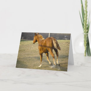 Tarjeta Gallop Away