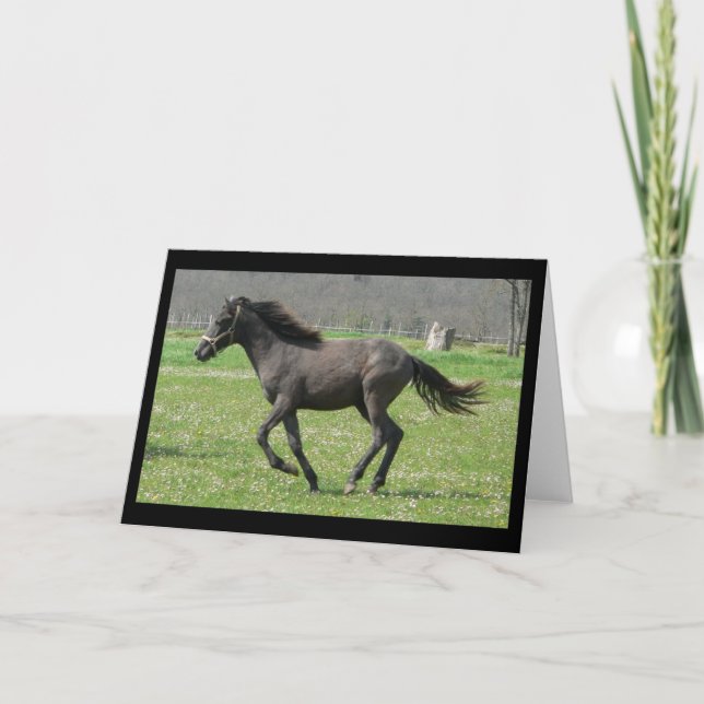 Tarjeta Galloping Colt Greeting Card (Anverso)