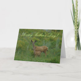 Tarjeta Gama y cervatillo del ciervo mula D5