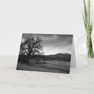 Tarjeta Ganado al norte de Stonyford, el condado de