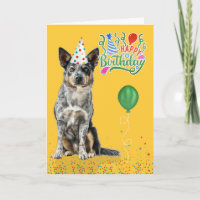 Ganado bovino australiano en cumpleaños de un Gorr