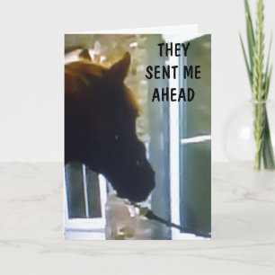 TARJETA GANG ME ENVIÓ A DECIR FELIZ CUMPLEAÑOS