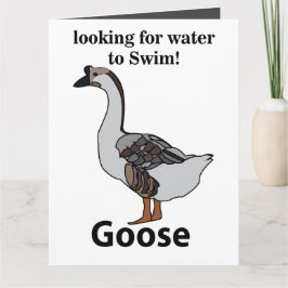 Tarjeta Ganso Buscando Agua Para Nadar Ganso Africano