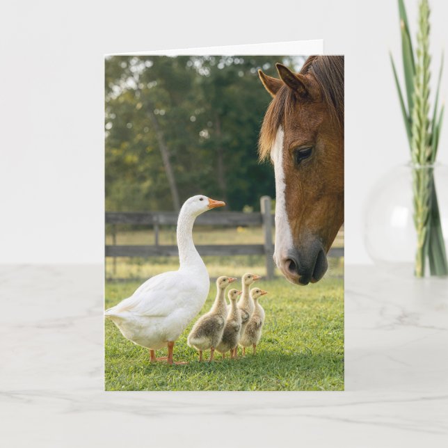Tarjeta Ganso de cumpleaños con ansarinos y caballo (Anverso)