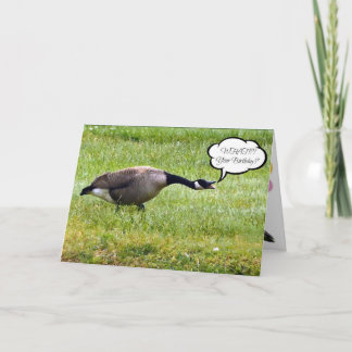 Tarjeta Ganso divertido feliz cumpleaños atrasado