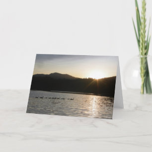 Tarjeta Gansos canadienses y puesta de sol sobre el Resgua