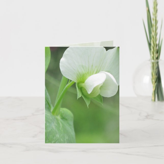 Tarjeta Garden Notecard para cualquier ocasión (Anverso)