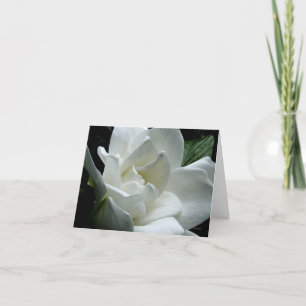 Tarjeta Gardenia