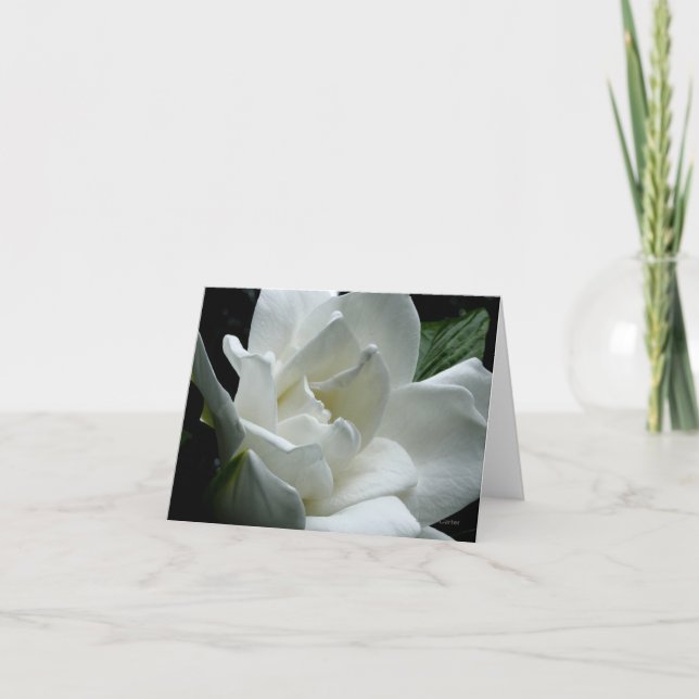 Tarjeta Gardenia (Anverso)