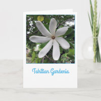 Gardenia de Tahitian