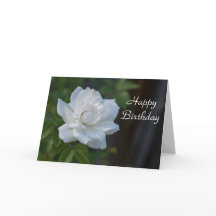 Gardenia del feliz cumpleaños