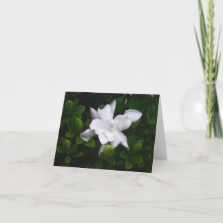 Tarjeta Gardenias de florecimiento Notecard floral