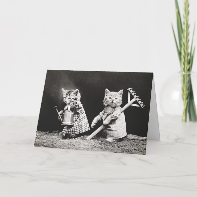 Tarjeta Gardening Kitties | Kitty con Rake (Anverso)