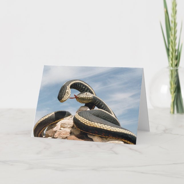 TARJETA GARDER SNAKE (Anverso)