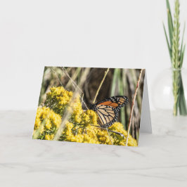 Tarjeta Garlic y Kale