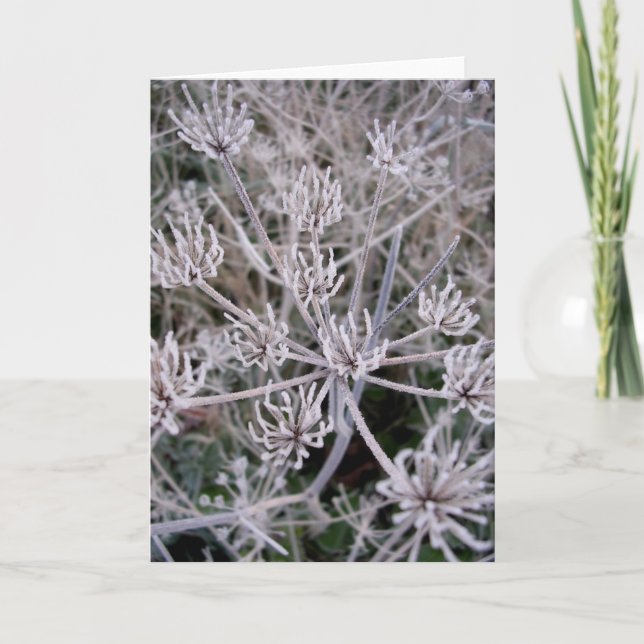 Tarjeta garras de los inviernos (Anverso)